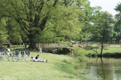 Der Dülmener Wildpark. Der Dülmener Wildpark.