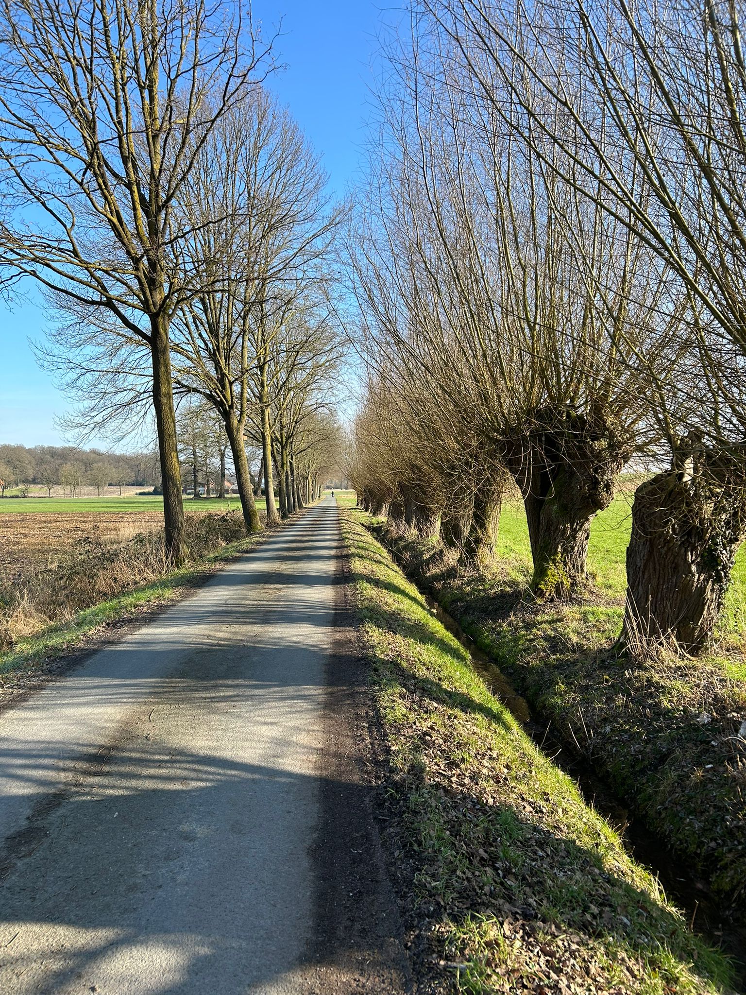 Abteilung Gesundheitssport